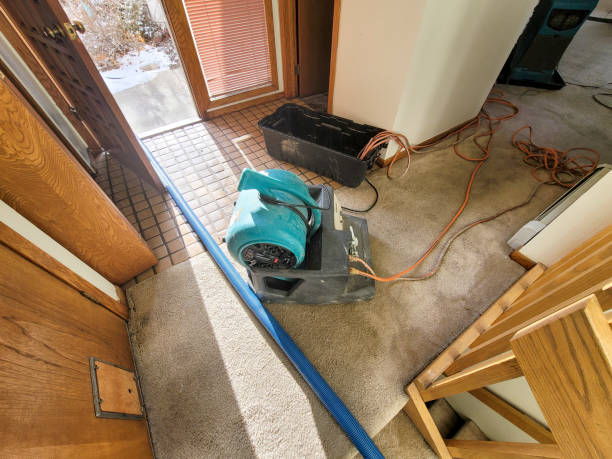 Carpet water damage restoration in Dillon, SC