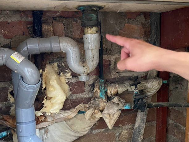 Best 24/7 water damage repair  in Dillon, SC